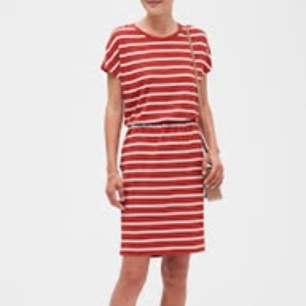 Banana Republic Shift Dress